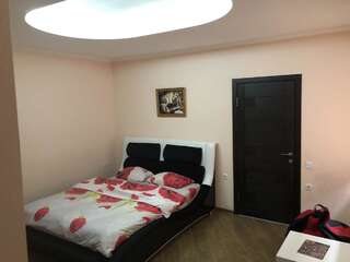 Отель Mini-Hotel Аул Запорожье Улучшенный номер с кроватью размера «king-size»-5